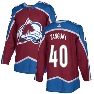 Alex Tanguay Youth Adidas Colorado Avalanche Authentic Burgundy Home Jersey